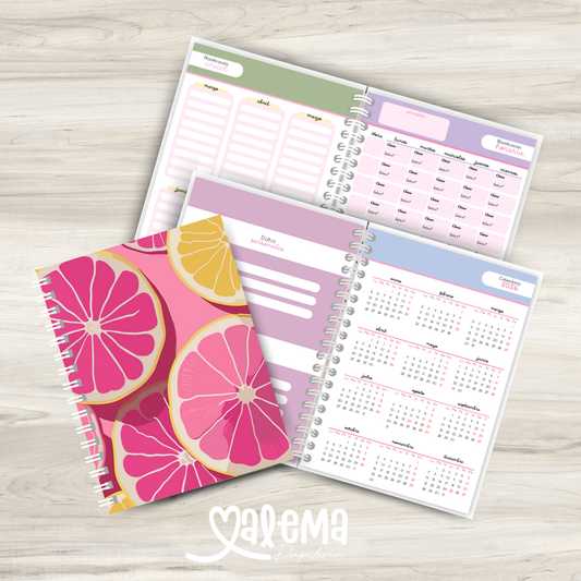 Planner Universitario Modelo 1